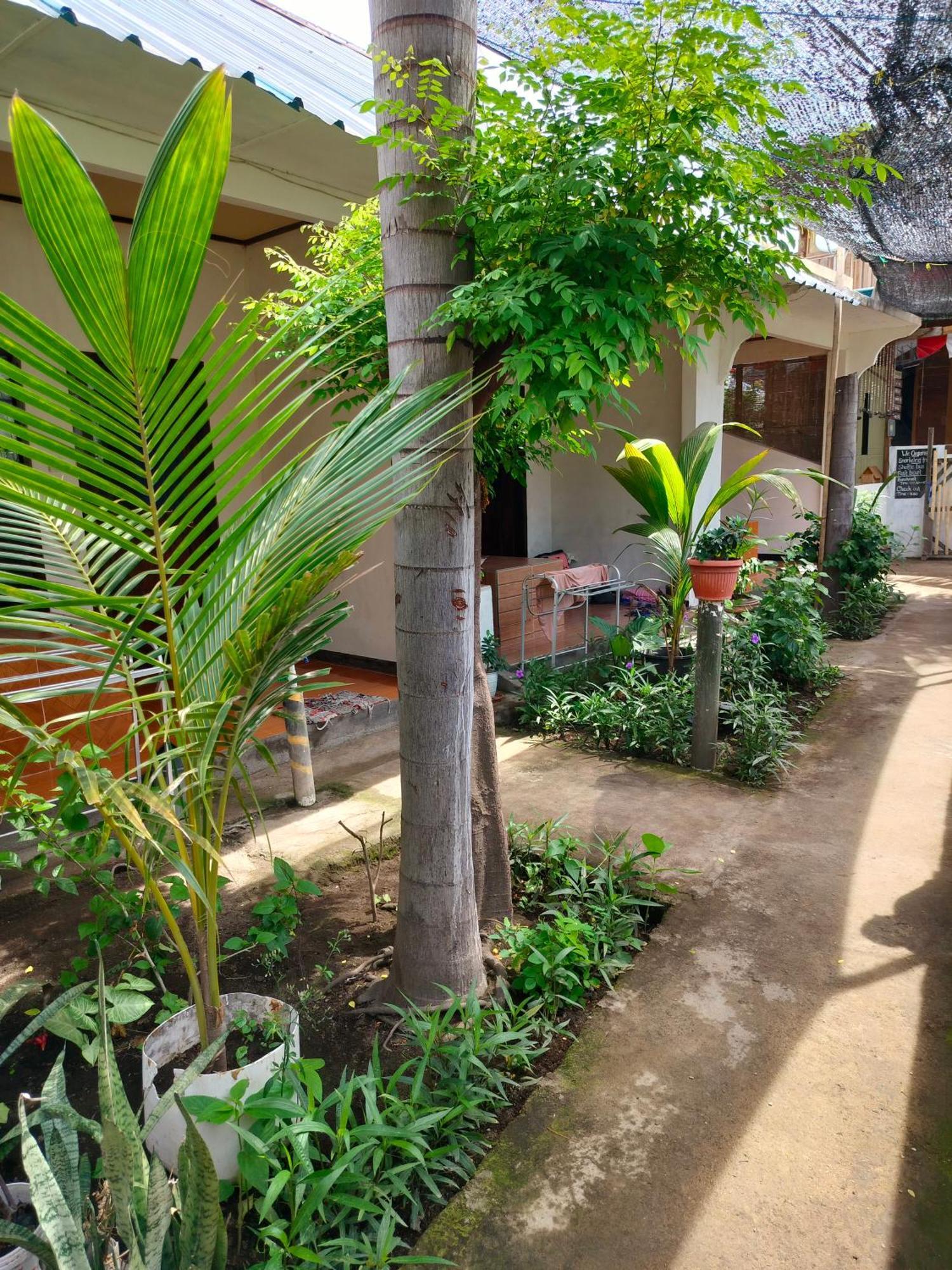 Aladdin Homestay Gili Air Kültér fotó